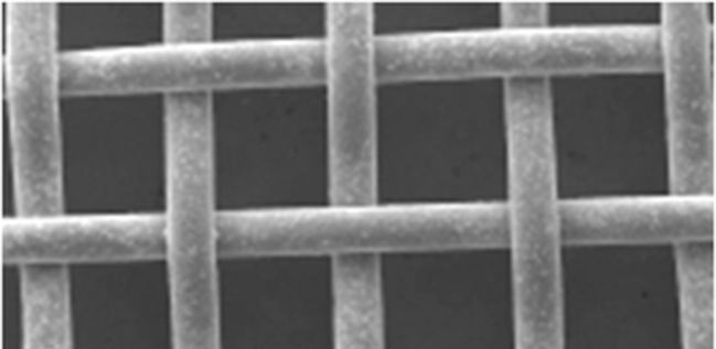 Cathodes for Hydrogen Evolution