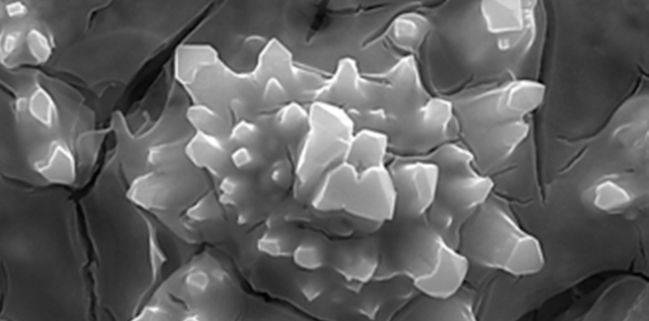 Cathodes for Hydrogen Evolution
